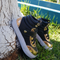 Tênis/ Bota Preto com Dourado