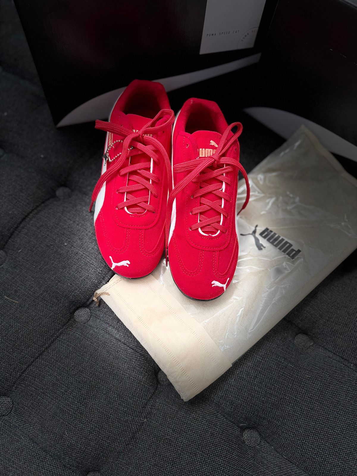 Tênis P Seed Cat - Vermelho